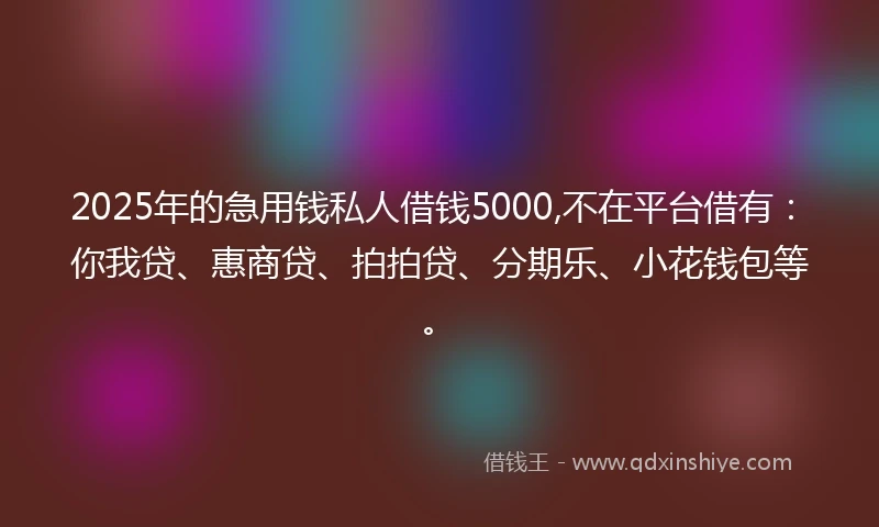 2025年的急用钱私人借钱5000,不在平台借有：你我贷、惠商贷、拍拍贷、分期乐、小花钱包等。