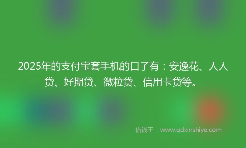 2025年的支付宝套手机的口子有：安逸花、人人贷、好期贷、微粒贷、信用卡贷等。