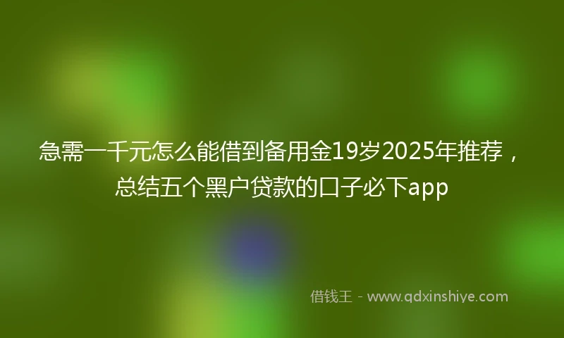急需一千元怎么能借到备用金19岁2025年推荐，总结五个黑户贷款的口子必下app