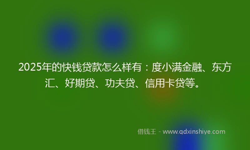 2025年的快钱贷款怎么样有：度小满金融、东方汇、好期贷、功夫贷、信用卡贷等。