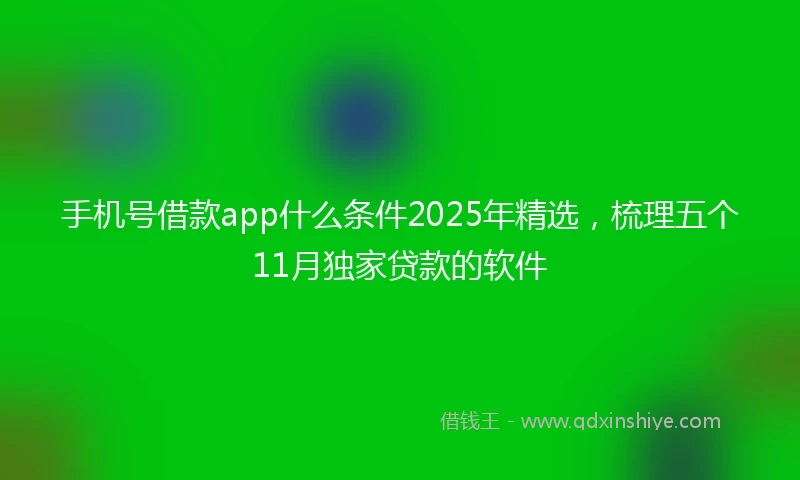 手机号借款app什么条件2025年精选，梳理五个11月独家贷款的软件