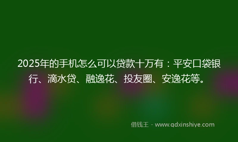 2025年的手机怎么可以贷款十万有：平安口袋银行、滴水贷、融逸花、投友圈、安逸花等。