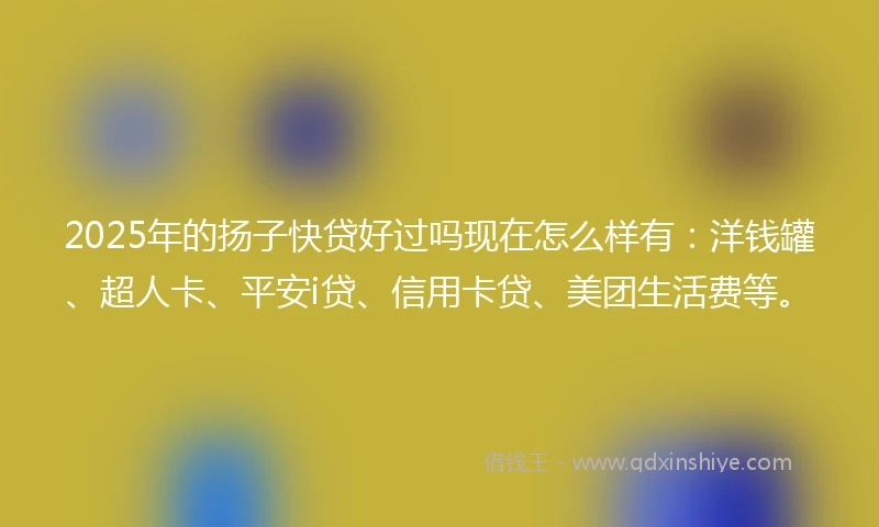 2025年的扬子快贷好过吗现在怎么样有：洋钱罐、超人卡、平安i贷、信用卡贷、美团生活费等。