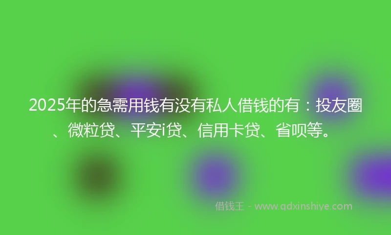2025年的急需用钱有没有私人借钱的有：投友圈、微粒贷、平安i贷、信用卡贷、省呗等。