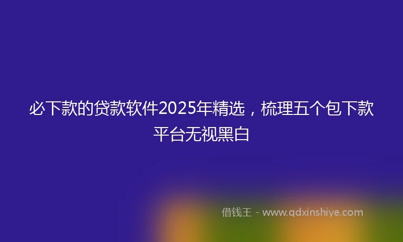 必下款的贷款软件2025年精选，梳理五个包下款平台无视黑白