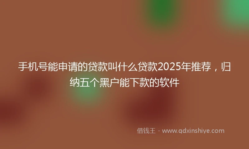 手机号能申请的贷款叫什么贷款2025年推荐，归纳五个黑户能下款的软件