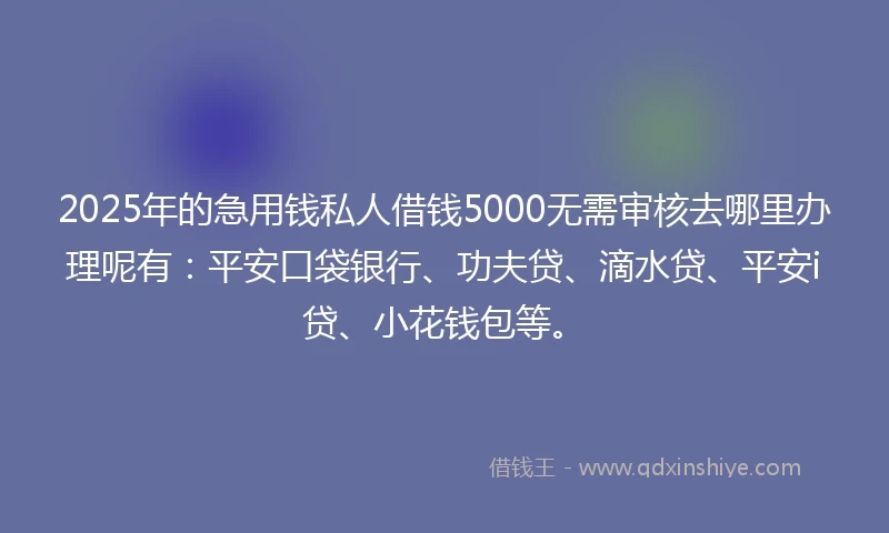2025年的急用钱私人借钱5000无需审核去哪里办理呢有：平安口袋银行、功夫贷、滴水贷、平安i贷、小花钱包等。