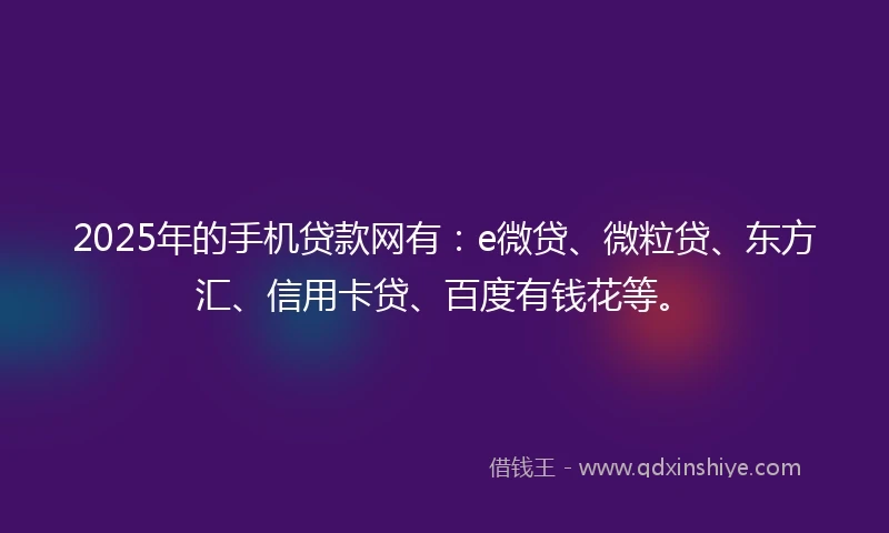2025年的手机贷款网有：e微贷、微粒贷、东方汇、信用卡贷、百度有钱花等。