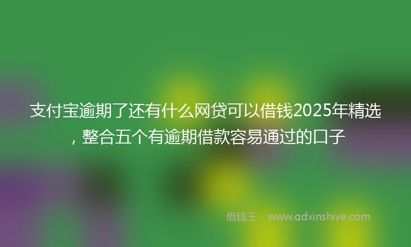 支付宝逾期了还有什么网贷可以借钱2025年精选，整合五个有逾期借款容易通过的口子