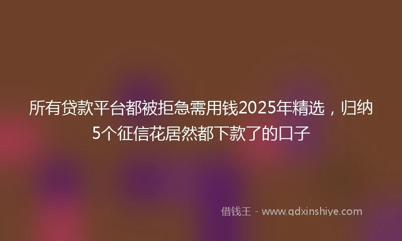 所有贷款平台都被拒急需用钱2025年精选，归纳5个征信花居然都下款了的口子