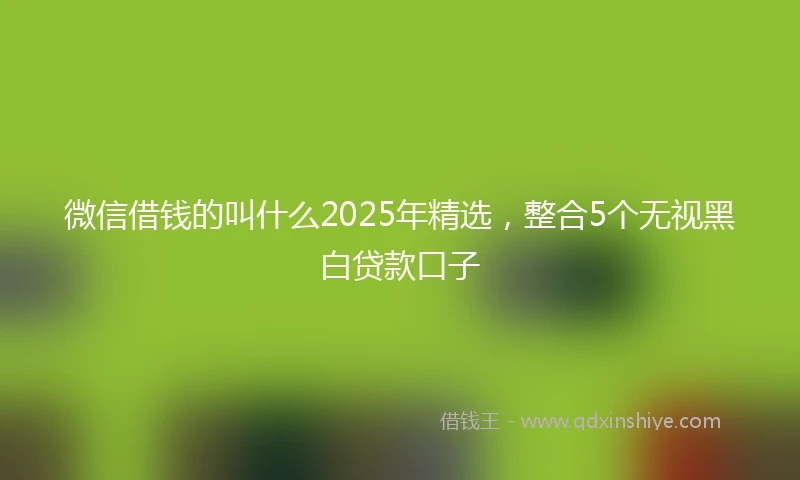 微信借钱的叫什么2025年精选,整合5个无视黑白贷款口子