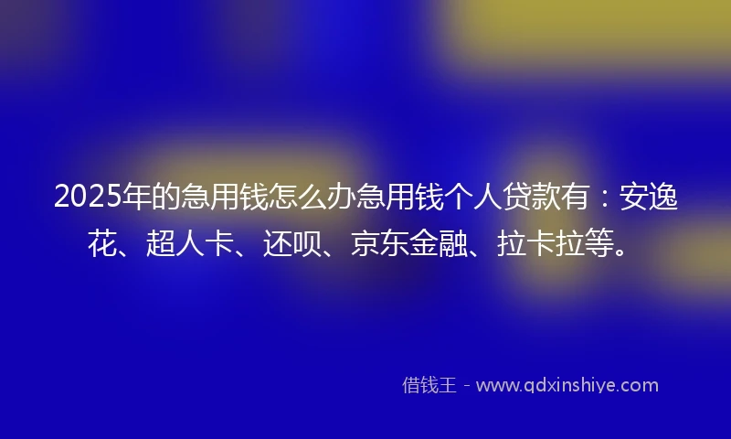 2025年的急用钱怎么办急用钱个人贷款有：安逸花、超人卡、还呗、京东金融、拉卡拉等。