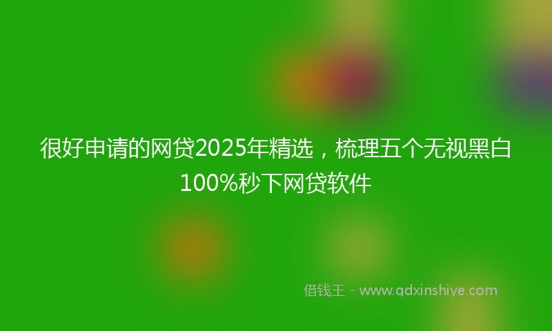 很好申请的网贷2025年精选,梳理五个无视黑白100%秒下网贷软件