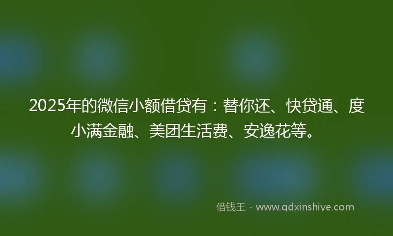2025年的微信小额借贷有：替你还、快贷通、度小满金融、美团生活费、安逸花等。