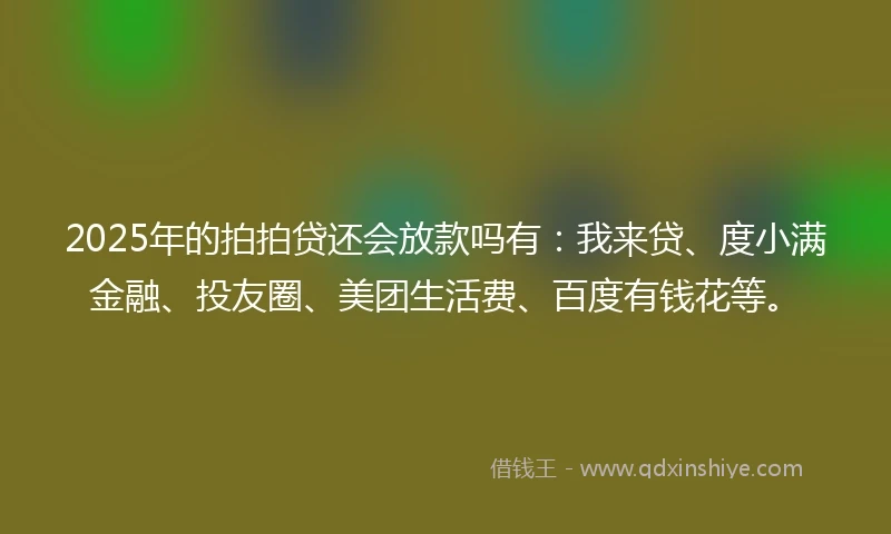 2025年的拍拍贷还会放款吗有：我来贷、度小满金融、投友圈、美团生活费、百度有钱花等。