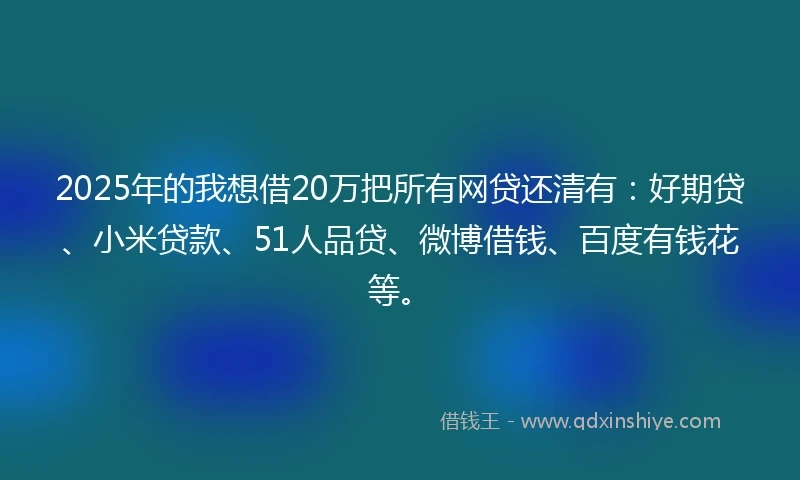 2025年的我想借20万把所有网贷还清有：好期贷、小米贷款、51人品贷、微博借钱、百度有钱花等。