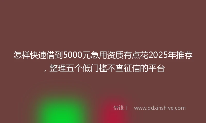 怎样快速借到5000元急用资质有点花2025年推荐，整理五个低门槛不查征信的平台