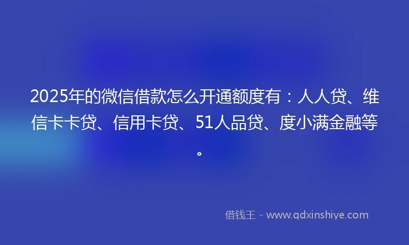 2025年的微信借款怎么开通额度有：人人贷、维信卡卡贷、信用卡贷、51人品贷、度小满金融等。