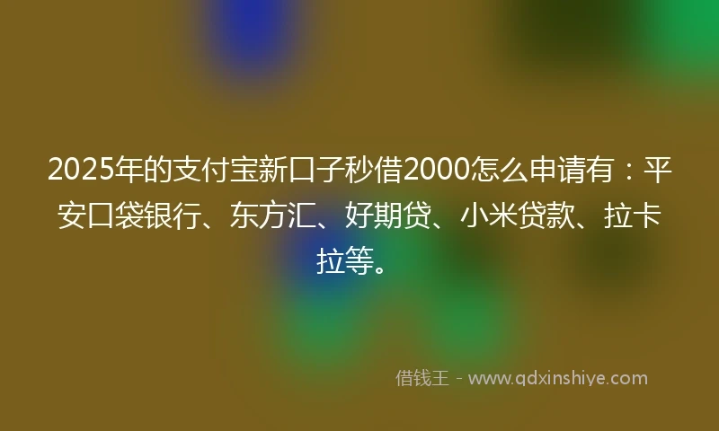 2025年的支付宝新口子秒借2000怎么申请有：平安口袋银行、东方汇、好期贷、小米贷款、拉卡拉等。