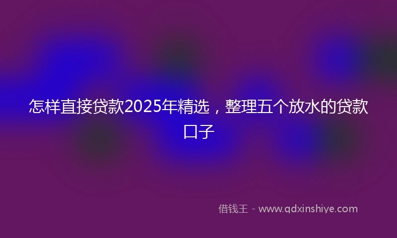 怎样直接贷款2025年精选，整理五个放水的贷款口子