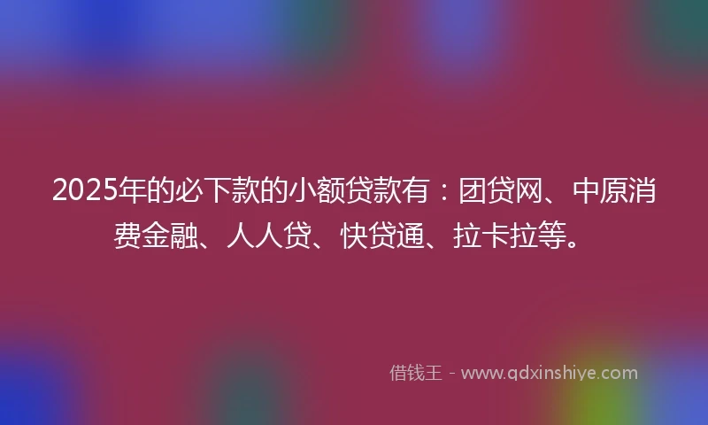 2025年的必下款的小额贷款有：团贷网、中原消费金融、人人贷、快贷通、拉卡拉等。