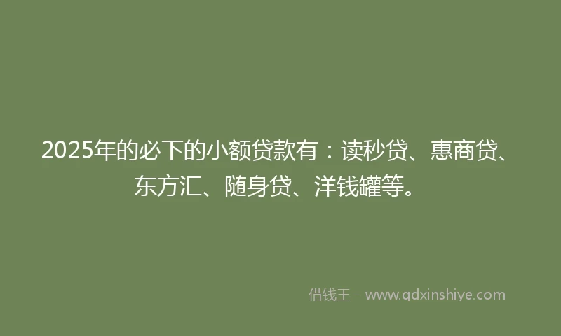 2025年的必下的小额贷款有：读秒贷、惠商贷、东方汇、随身贷、洋钱罐等。