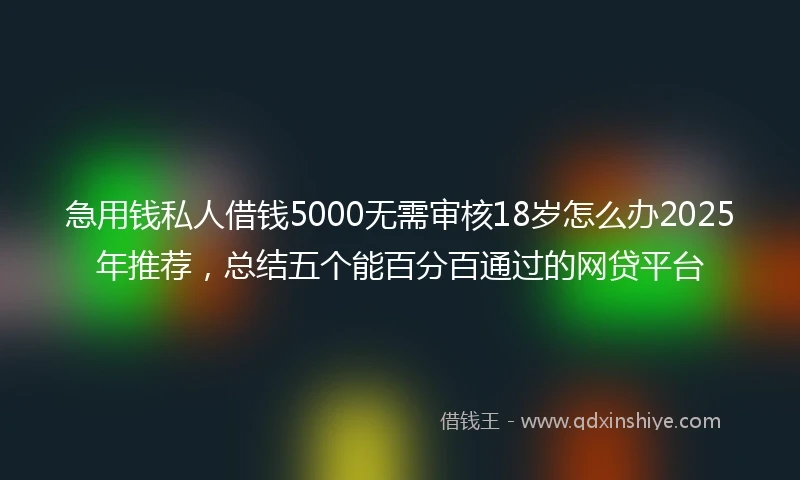 急用钱私人借钱5000无需审核18岁怎么办2025年推荐,总结五个能百分百通过的网贷平台