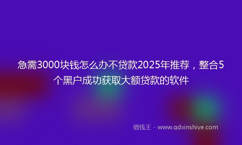 急需3000块钱怎么办不贷款2025年推荐，整合5个黑户成功获取大额贷款的软件