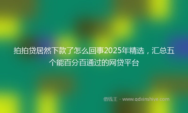 拍拍贷居然下款了怎么回事2025年精选，汇总五个能百分百通过的网贷平台
