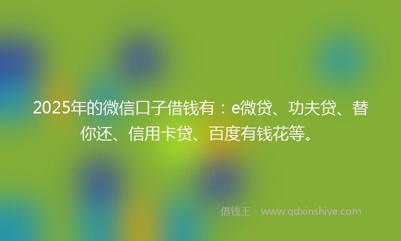 2025年的微信口子借钱有：e微贷、功夫贷、替你还、信用卡贷、百度有钱花等。