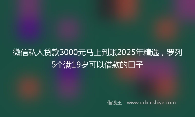 微信私人贷款3000元马上到账2025年精选，罗列5个满19岁可以借款的口子