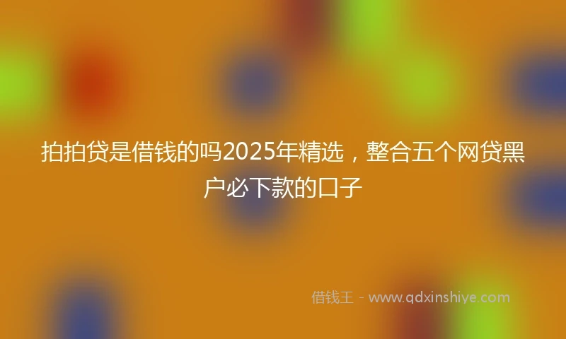 拍拍贷是借钱的吗2025年精选，整合五个网贷黑户必下款的口子