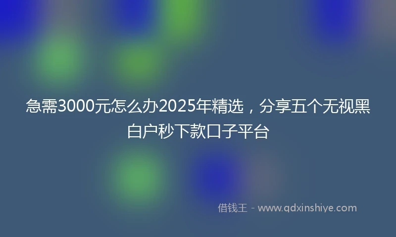 急需3000元怎么办2025年精选，分享五个无视黑白户秒下款口子平台