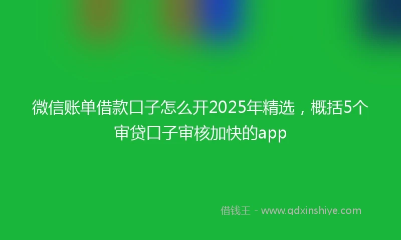 微信账单借款口子怎么开2025年精选，概括5个审贷口子审核加快的app