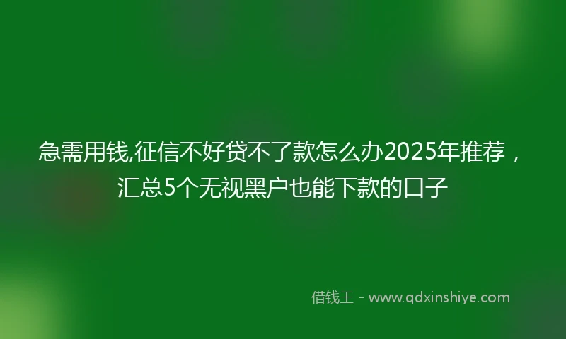 急需用钱,征信不好贷不了款怎么办2025年推荐，汇总5个无视黑户也能下款的口子