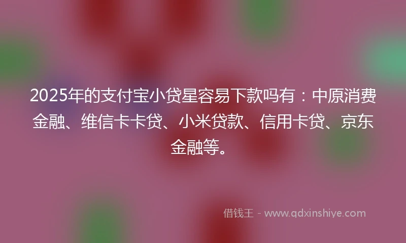 2025年的支付宝小贷星容易下款吗有：中原消费金融、维信卡卡贷、小米贷款、信用卡贷、京东金融等。