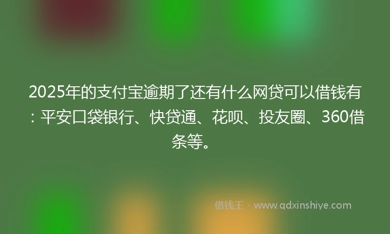 2025年的支付宝逾期了还有什么网贷可以借钱有：平安口袋银行、快贷通、花呗、投友圈、360借条等。