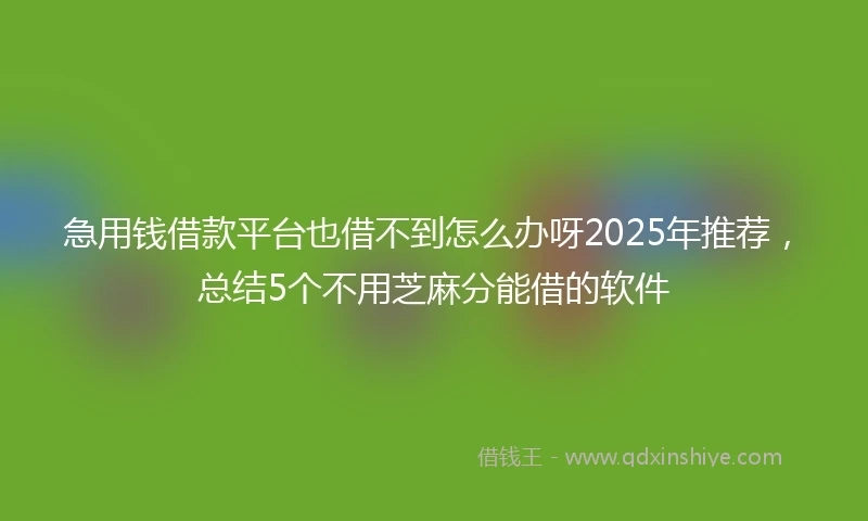 急用钱借款平台也借不到怎么办呀2025年推荐，总结5个不用芝麻分能借的软件