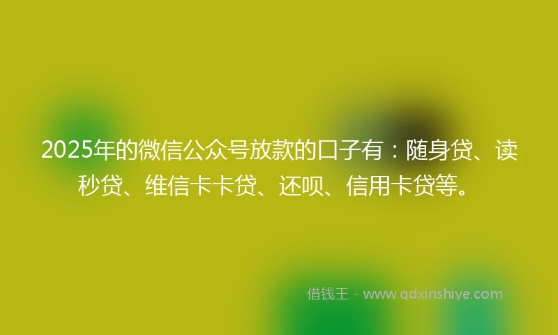 2025年的微信公众号放款的口子有:随身贷、读秒贷、维信卡卡贷、还呗、信用卡贷等。