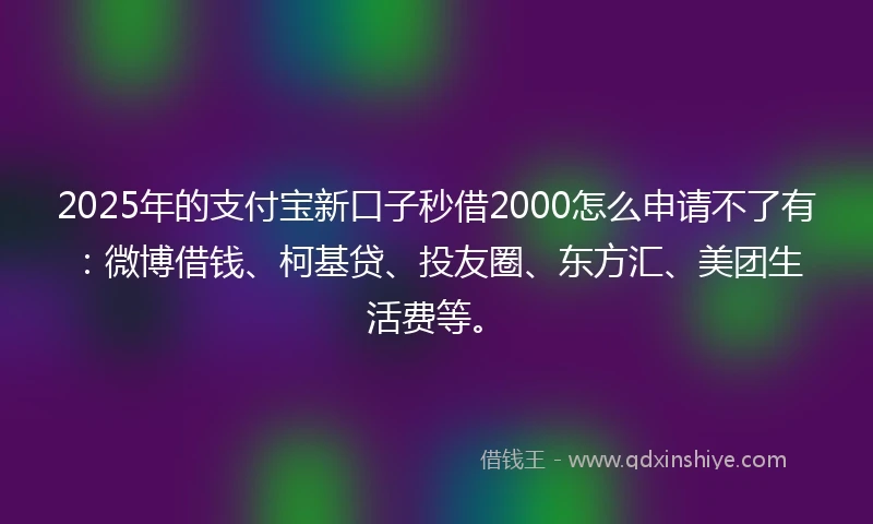 2025年的支付宝新口子秒借2000怎么申请不了有：微博借钱、柯基贷、投友圈、东方汇、美团生活费等。