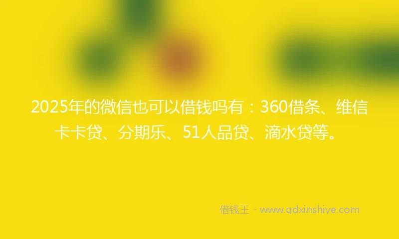 2025年的微信也可以借钱吗有：360借条、维信卡卡贷、分期乐、51人品贷、滴水贷等。