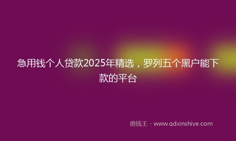 急用钱个人贷款2025年精选，罗列五个黑户能下款的平台
