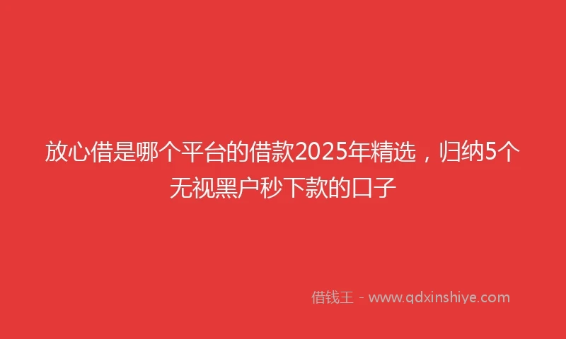 放心借是哪个平台的借款2025年精选，归纳5个无视黑户秒下款的口子