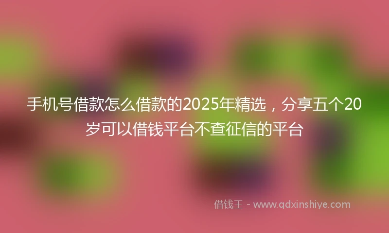 手机号借款怎么借款的2025年精选，分享五个20岁可以借钱平台不查征信的平台