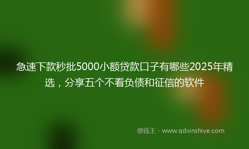 急速下款秒批5000小额贷款口子有哪些2025年精选，分享五个不看负债和征信的软件
