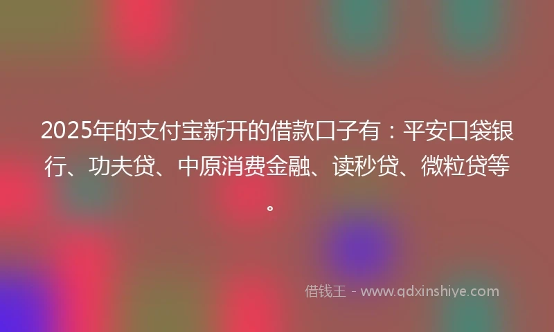 2025年的支付宝新开的借款口子有：平安口袋银行、功夫贷、中原消费金融、读秒贷、微粒贷等。