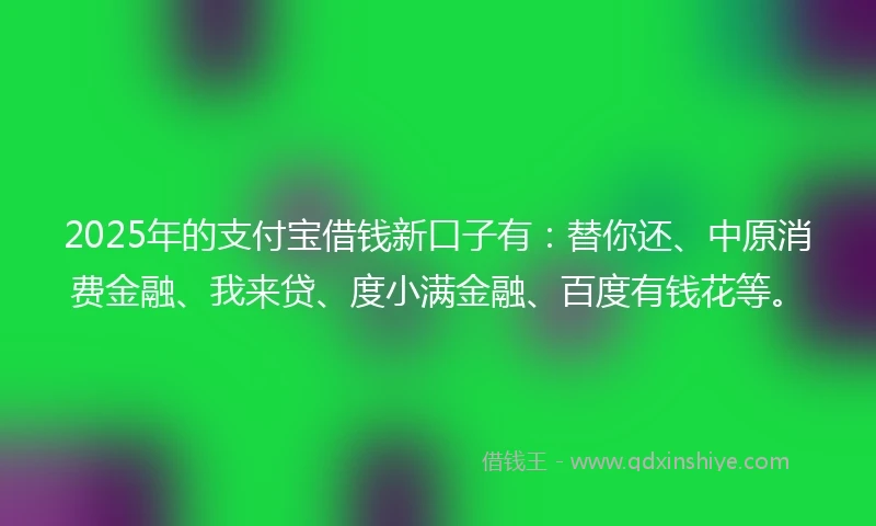 2025年的支付宝借钱新口子有：替你还、中原消费金融、我来贷、度小满金融、百度有钱花等。
