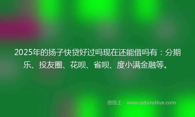 2025年的扬子快贷好过吗现在还能借吗有:分期乐、投友圈、花呗、省呗、度小满金融等。