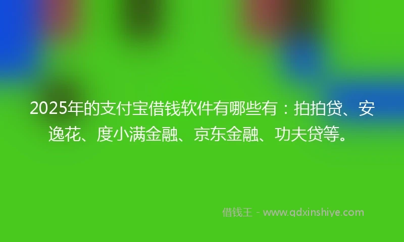 2025年的支付宝借钱软件有哪些有：拍拍贷、安逸花、度小满金融、京东金融、功夫贷等。