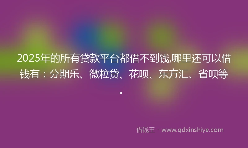 2025年的所有贷款平台都借不到钱,哪里还可以借钱有：分期乐、微粒贷、花呗、东方汇、省呗等。